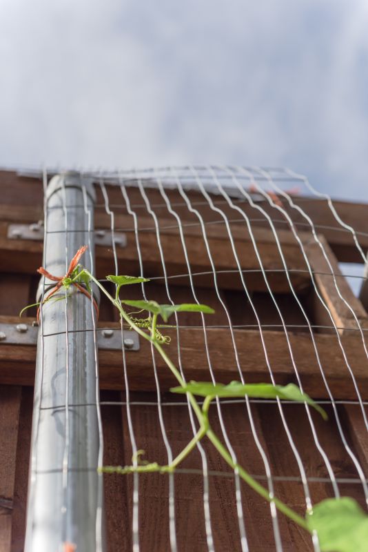 Material Quality and Type