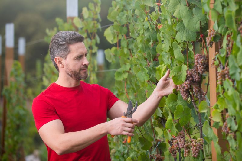 Consult with Experts